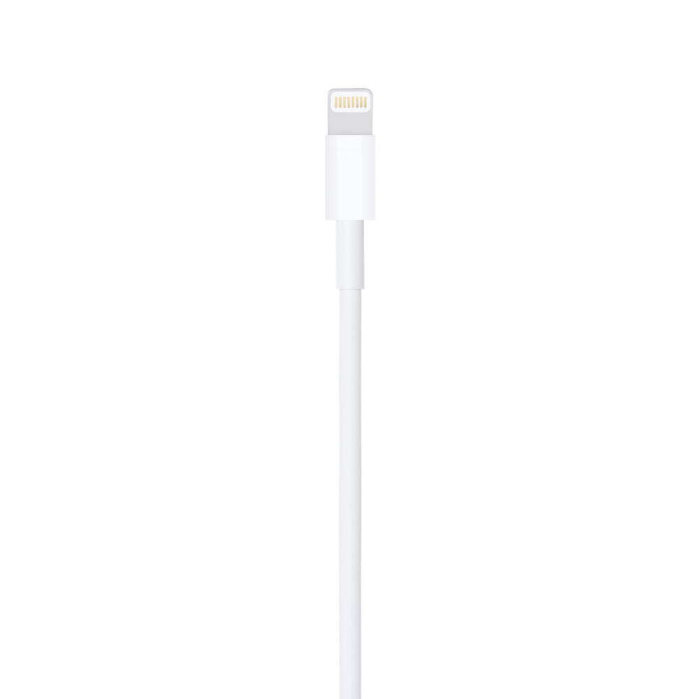 Apple Lightning to USB Cable (2 m)