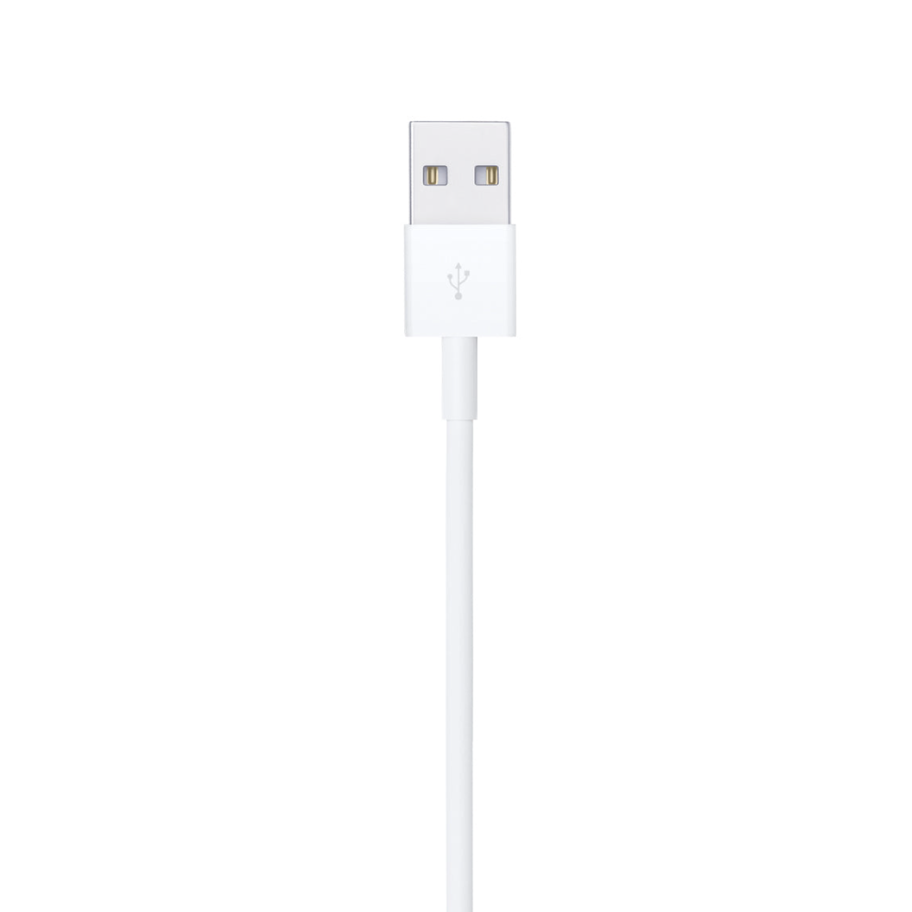 Apple Lightning to USB Cable (2 m)