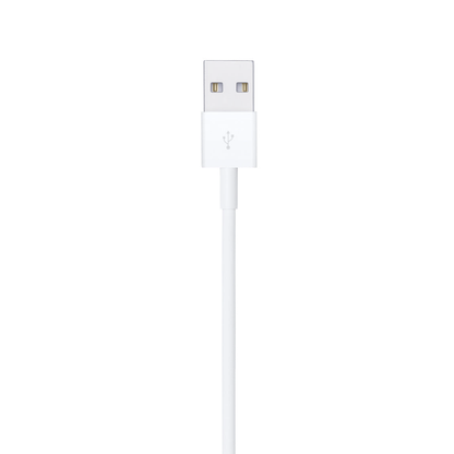 Apple Lightning to USB Cable (2 m)