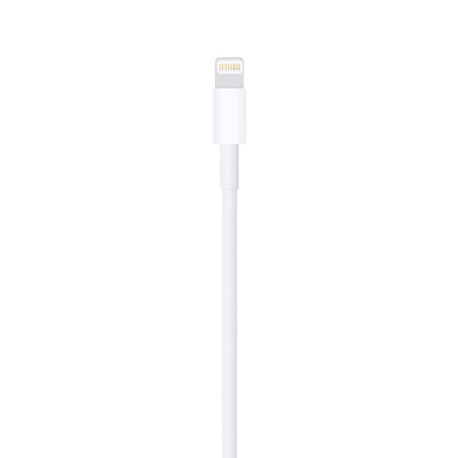 Apple Lightning to USB Cable (2 m)