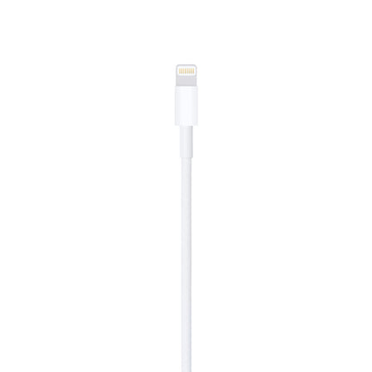 Apple Lightning to USB Cable (1 m)