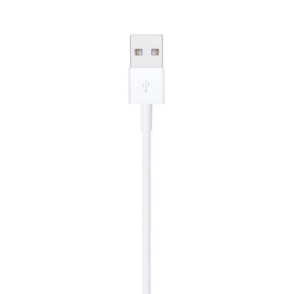 Apple Lightning to USB Cable (1 m)