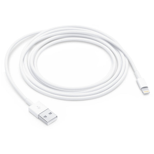 Apple Lightning to USB Cable (1 m)